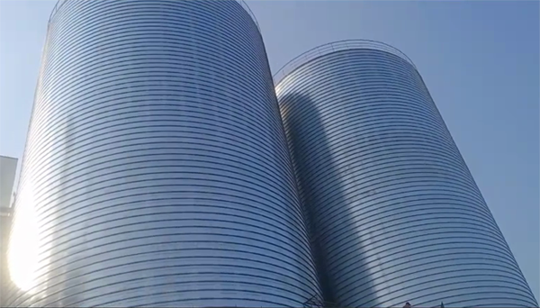 会理2座混凝土高架卷板仓